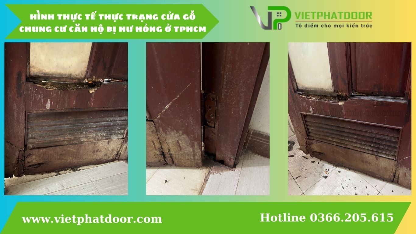 Mẫu cửa nhà vệ sinh nhà tắm mới nhất 2025 hình thực tế thực trạng cửa gỗ nhà tắm chung cư căn hộ bị hư hỏng ở TPHCM